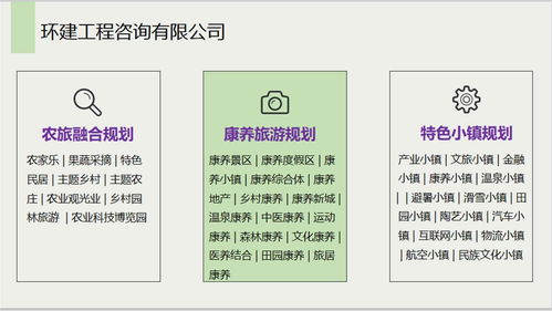安国社会稳定风险评估报告 信息系统集成服务公司的专业能力分析